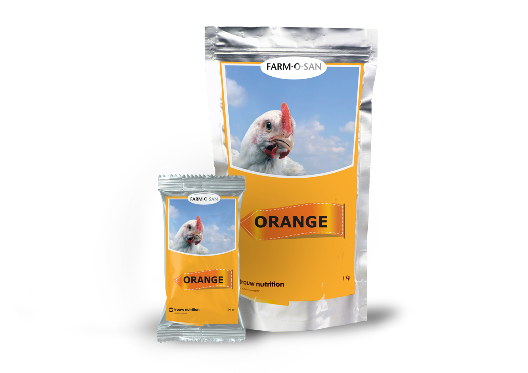 Orange