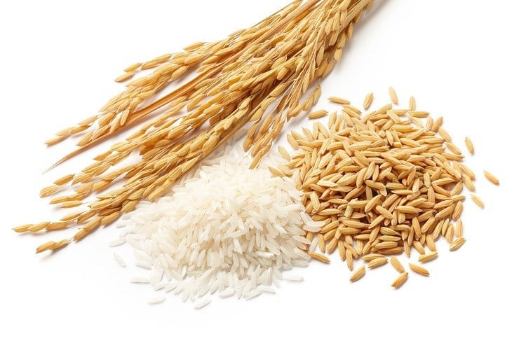 feed raw materials are mostly grains