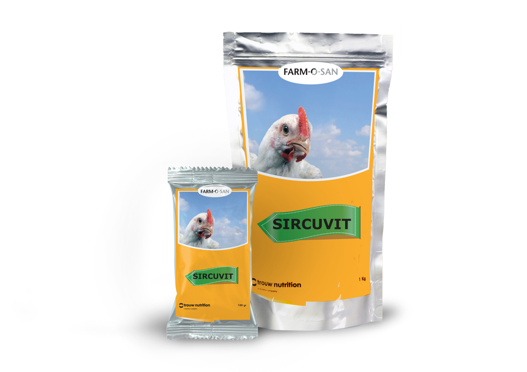 Sircuvit