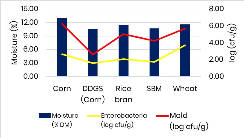 moisture, mould and enterobacteriaceae growth 