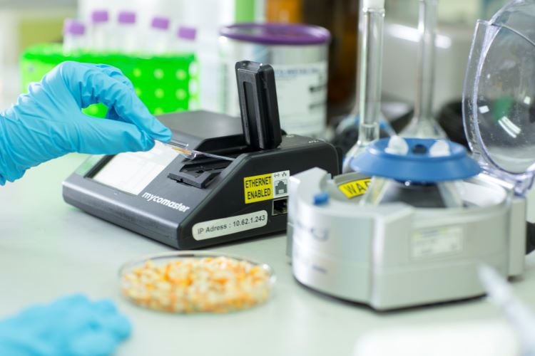 Tools for Mycotoxin Analysis