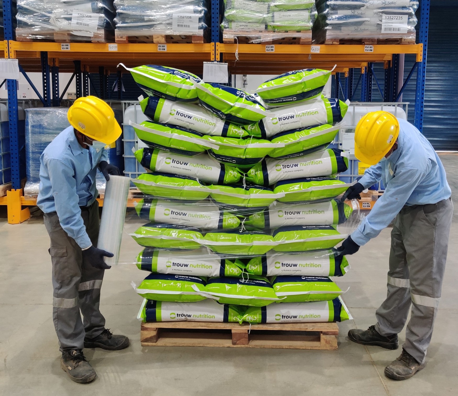 employees checking the stock