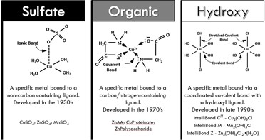 Trace Minerals 