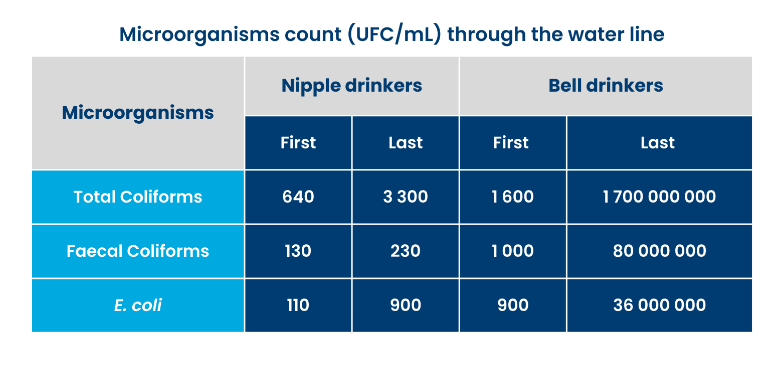 Microorganism in water 