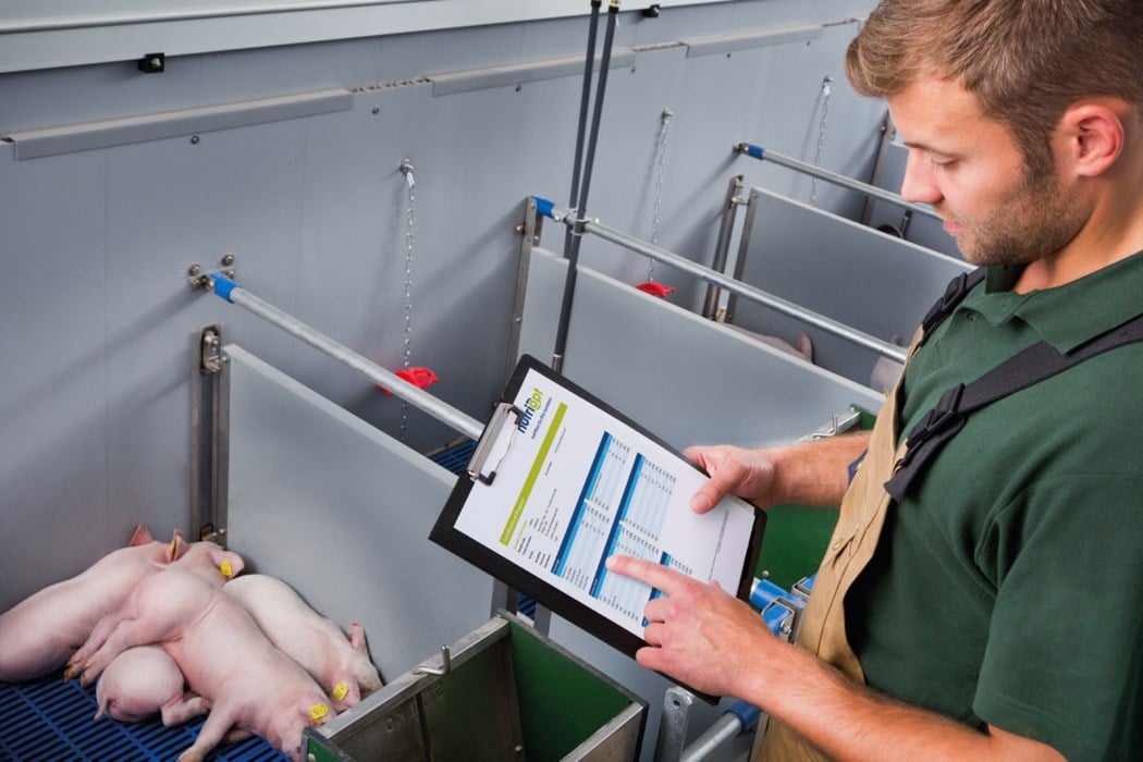 digital tool helping animal feed industry